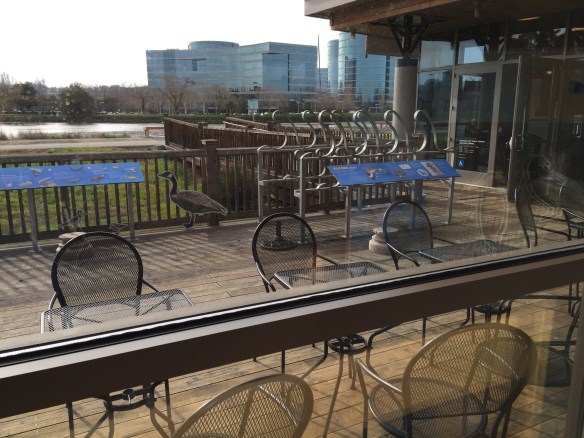 Redwood City Library, Redwood Shores branch