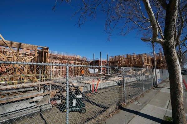 IMG_1172.jpg IMG 1172