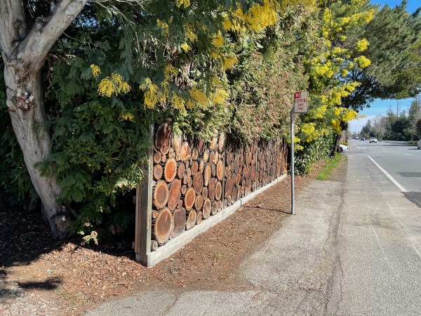 IMG_2287.jpg IMG 2287