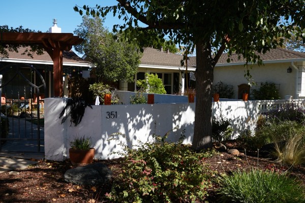 IMG_2677.jpg IMG 2677