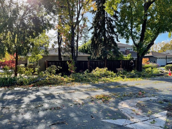 IMG_2868.jpg IMG 2868