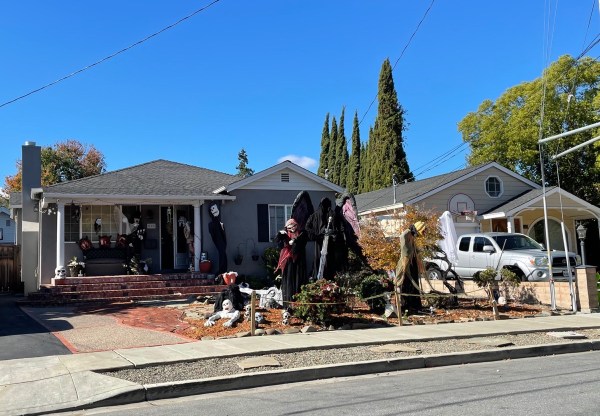 IMG_2884.jpg IMG 2884