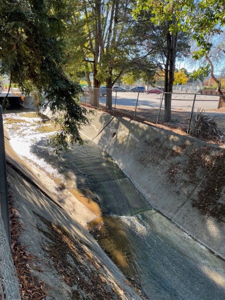 IMG_2885.jpg IMG 2885