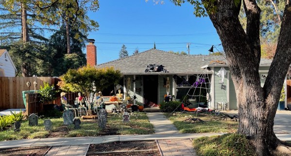 IMG_2892.jpg IMG 2892