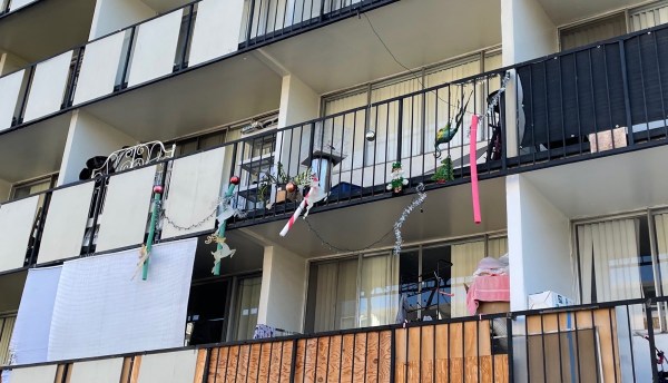 IMG_2893.jpg IMG 2893